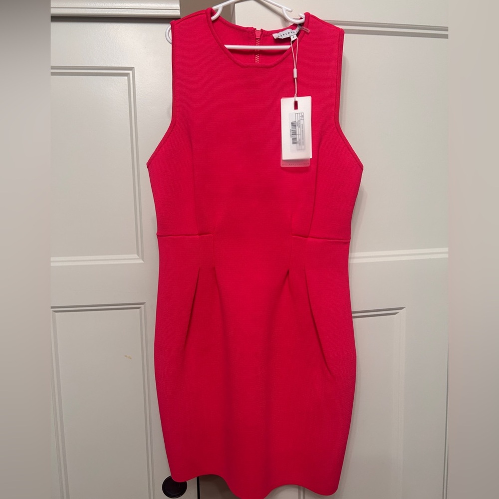 Endless Rose Red Pink Sheath Mini Dress